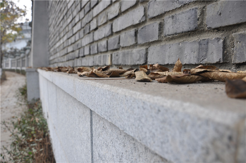 石室中學(xué)北湖校區(qū)(施工進(jìn)度情況)